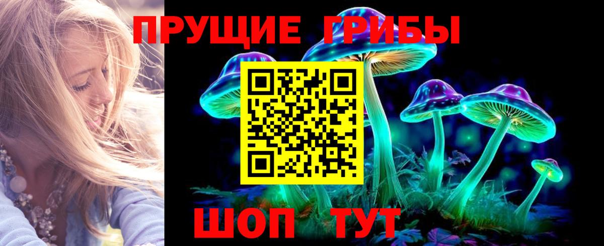 Псилоцибиновые грибы мицелий Нефтекумск