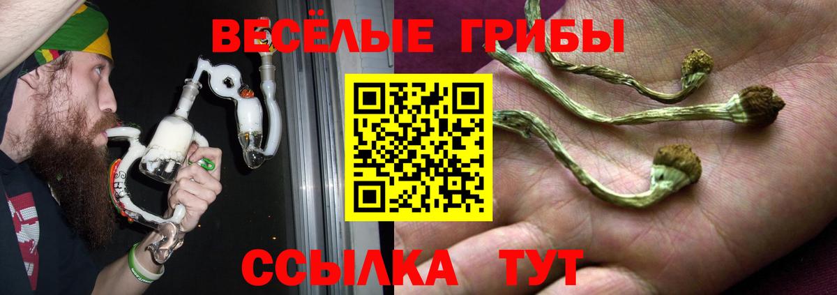 Галлюциногенные грибы мицелий  хочу   Нефтекумск  Вход с VPN 